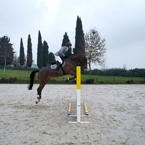 Amahorse company mission